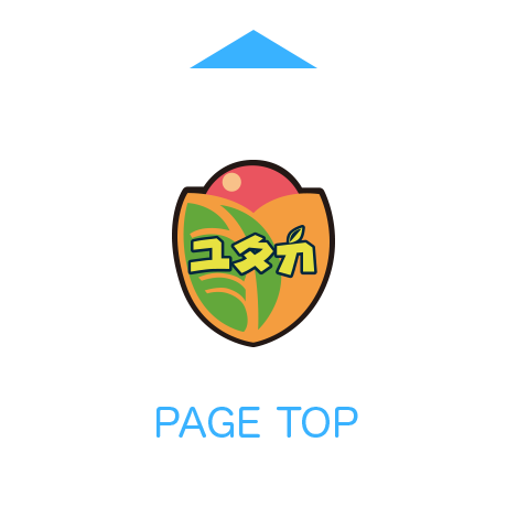 PAGE TOP